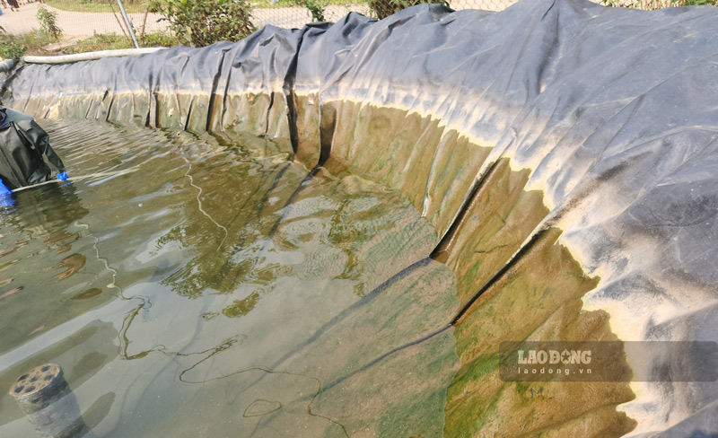 Quá trình chăn nuôi, vệ sinh bể thì thức ăn thừa và hóa chất sẽ theo dòng nước chảy ra suối Tà Xùa. Ảnh: An Lộc