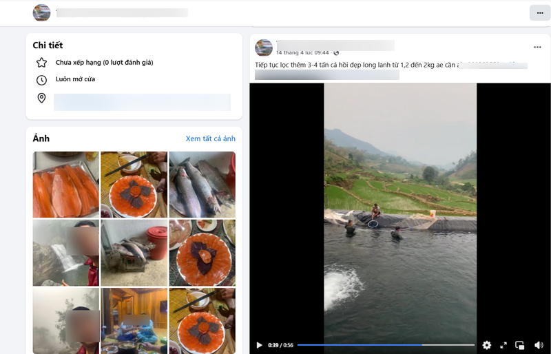 Theo tìm hiểu của PV, chủ trại cá tầm, cá hồi không phép này là một ông chủ có nhà hàng lớn, kinh doanh lâu năm tại địa phương (huyện Trạm Tấu cũ). Ảnh: Quang Dũng
