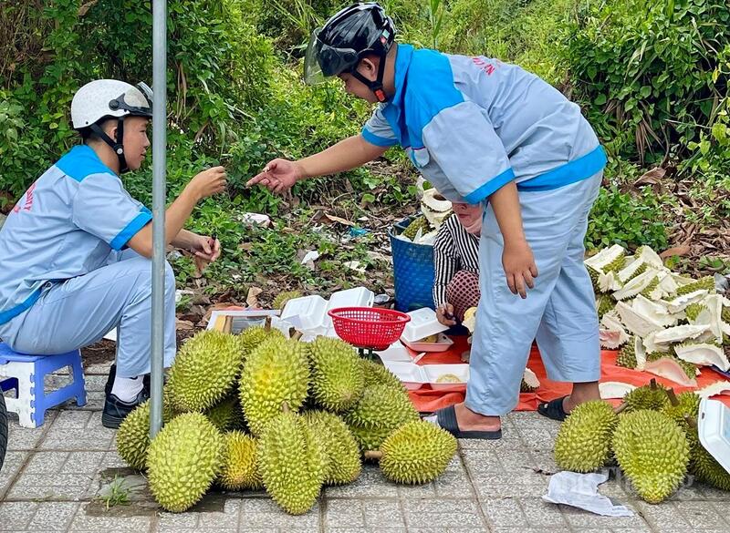Việc nâng chất lượng sản phẩm vẫn cần sự vào cuộc mạnh mẽ hơn từ ngành nông nghiệp và chính quyền địa phương. Ảnh: Khánh Ngọc