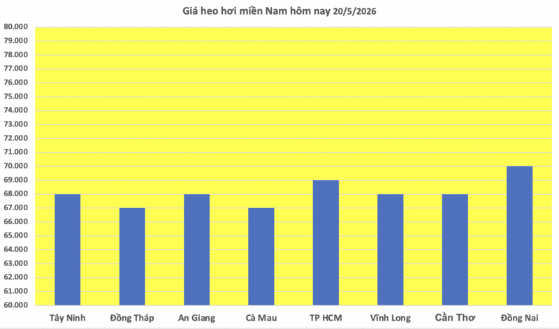 Giá heo hơi hôm nay 20/5/2026: Giảm rải rác - 3