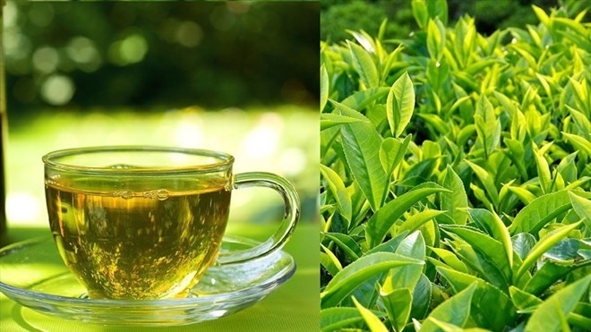 Uống chè xanh đúng thời điểm để hỗ trợ thải độc gan tự nhiên