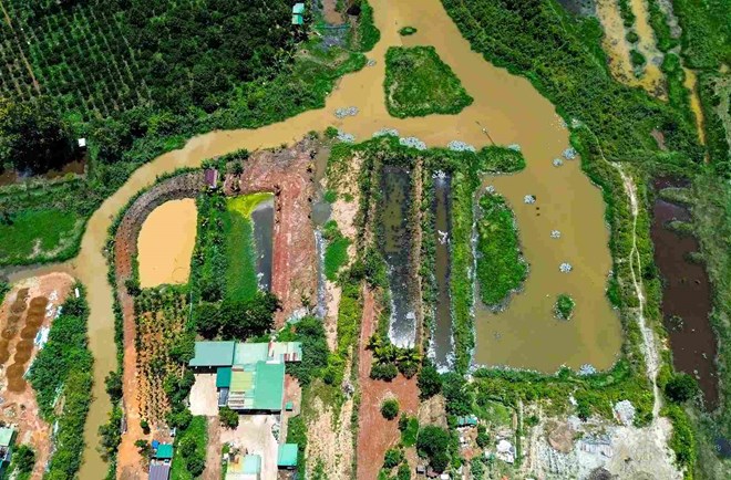 Ô nhiễm kéo dài từ điểm tập kết heo trong khu dân cư ở Lâm Đồng