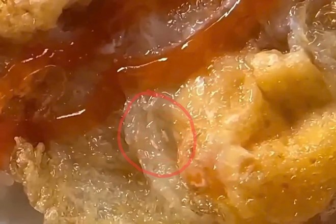 Đình chỉ tiệm bánh mì bán xôi có dòi bò lúc nhúc ở Quảng Trị
