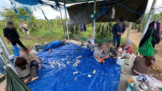 Công an đột kích sới bạc giữa vườn thanh long, tạm giữ 7 người