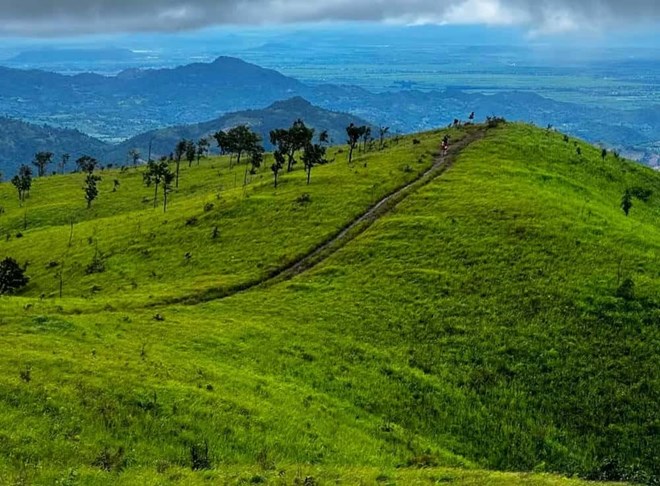 Hàng chục chiến sĩ truy tìm nghi phạm lẩn trốn trong rừng
