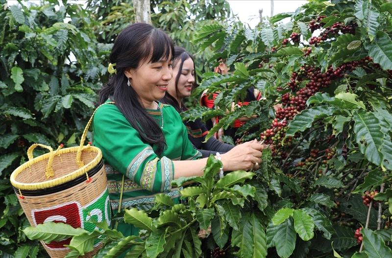 Trong bối cảnh nguồn cung toàn cầu suy giảm, các quốc gia giữ được năng lực sản xuất ổn định sẽ được hưởng lợi từ giá cả và nhu cầu thị trường. Ảnh minh họa