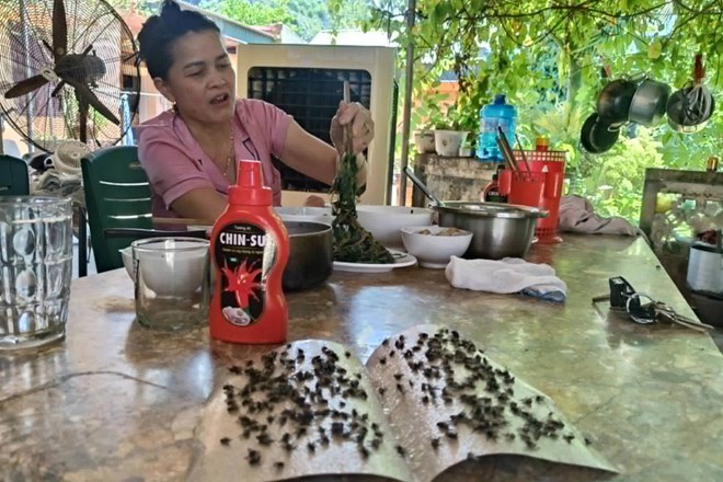 Không ngủ được, nhiều người dân đến nhà máy xử lý rác yêu cầu dừng hoạt động