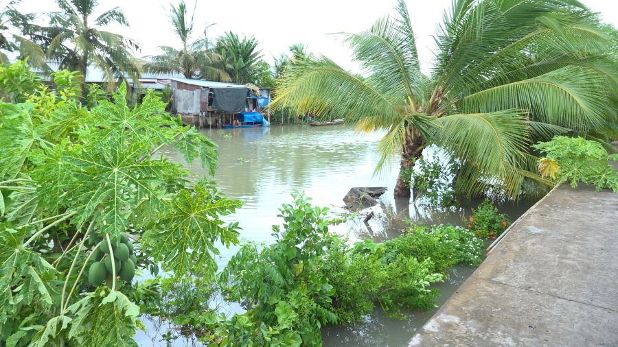 Hiện trường vụ sạt lở. Ảnh: Thanh Nghĩa