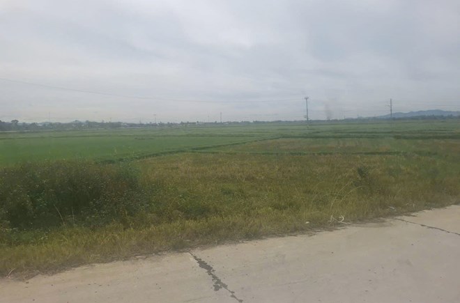 Bỏ hoang hàng nghìn hecta đất lúa ở Hà Tĩnh
