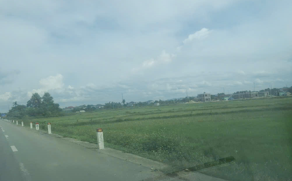 Tại phường Hà Huy Tập có 21 ha đất ruộng bỏ hoang vụ Hè - Thu này. Ảnh: Trần Tuấn