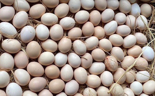 Cách chọn trứng gà tốt cho cơ bắp