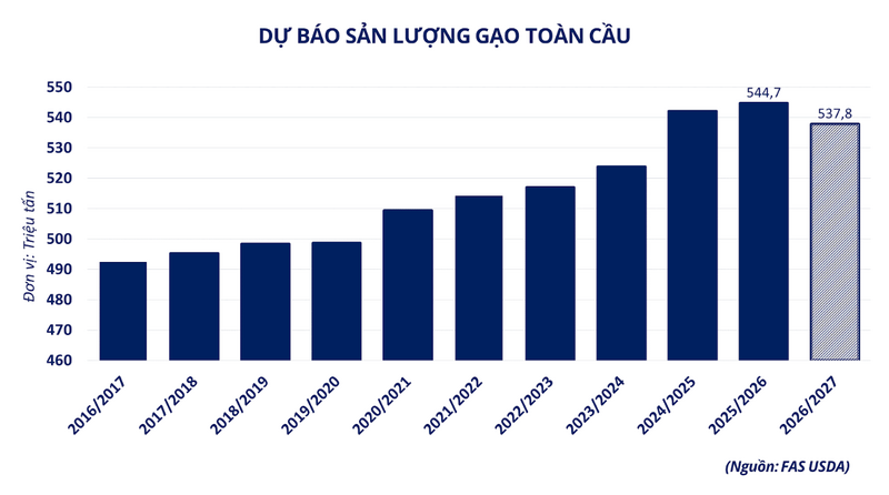 Dự báo sản lượng gạo toàn cầu. Nguồn: MXV
