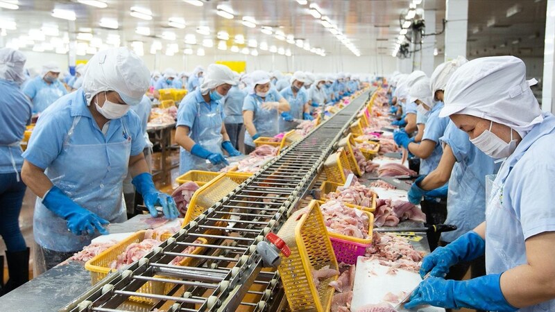 Sau hơn 5 năm thực thi Hiệp định UKVFTA, thủy sản Việt Nam đang từng bước mở rộng thị phần tại Vương quốc Anh. Ảnh: VASEP