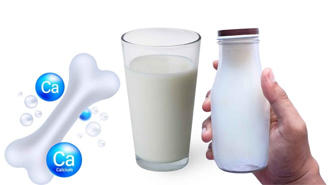 Sữa và sự thật về khả năng bổ sung canxi cho xương