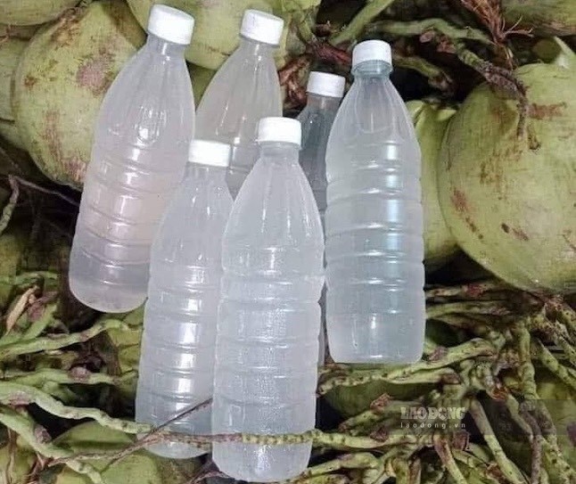 Những lưu ý khi thường xuyên uống nước dừa để tốt cho cơ bắp