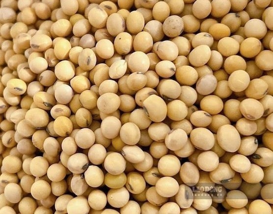 Bổ sung magie đúng cách