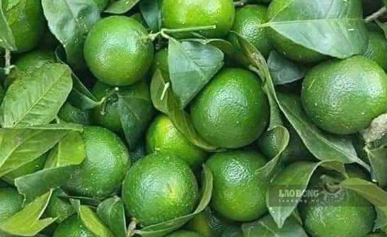 Lý do nước chanh hỗ trợ chức năng gan và cách dùng đúng
