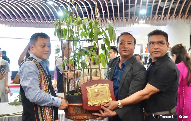 Tổng Giám đốc Trường Sinh Group Phan Thanh Thiên trúng đấu giá cây sâm Ngọc Linh. Số tiền trúng đấu giá 725 triệu đồng sẽ được sử dụng để làm thiện nguyện.