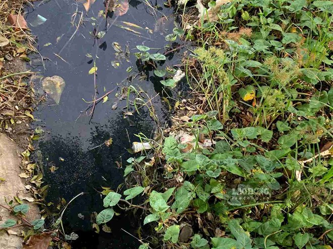 Dòng sông đen sì bốc mùi hôi, người dân một xã ở Hưng Yên mong xử lý dứt điểm