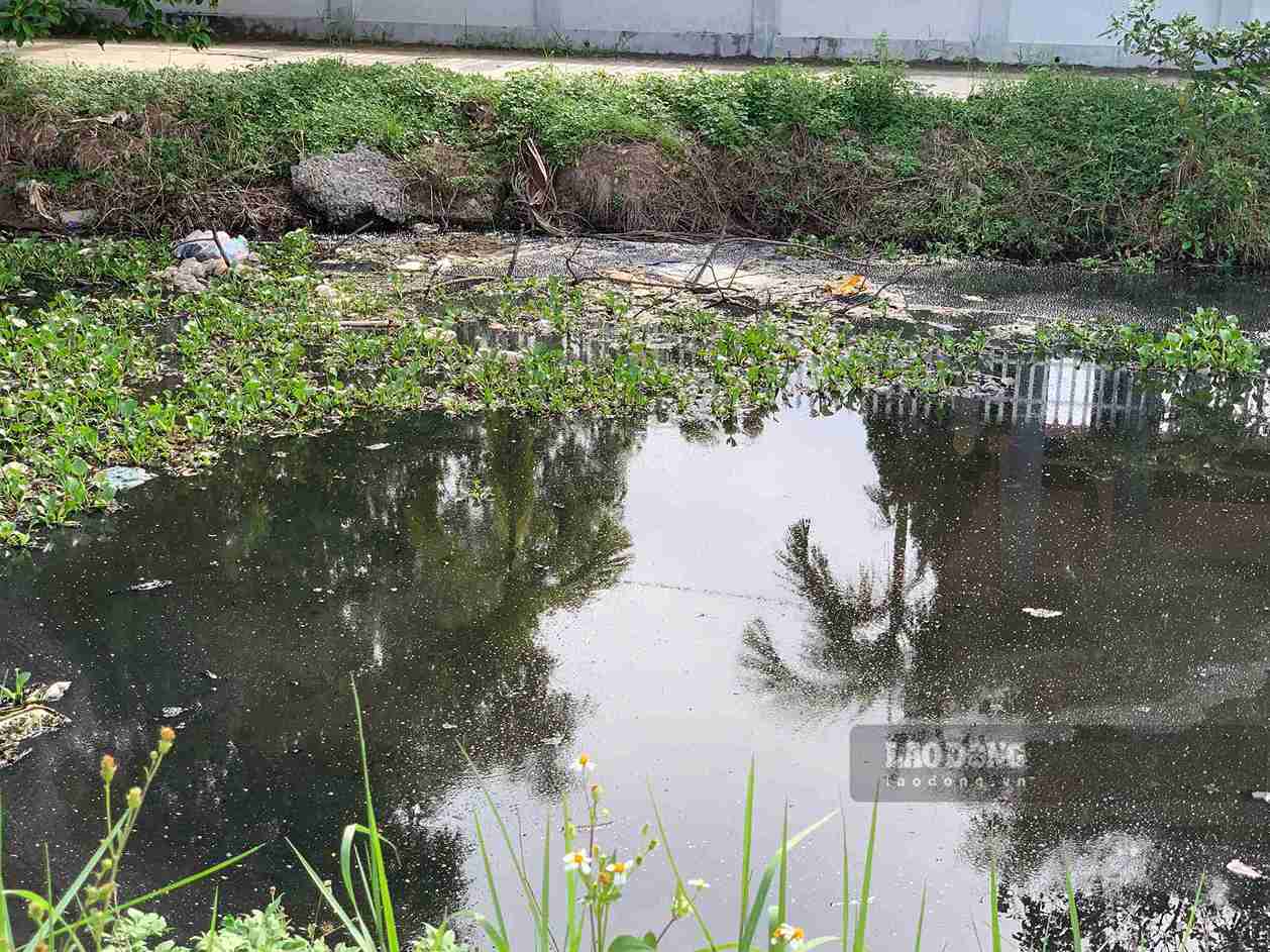 Người dân Tiên La lo nguồn nước ô nhiễm ảnh hưởng sản xuất nông nghiệp