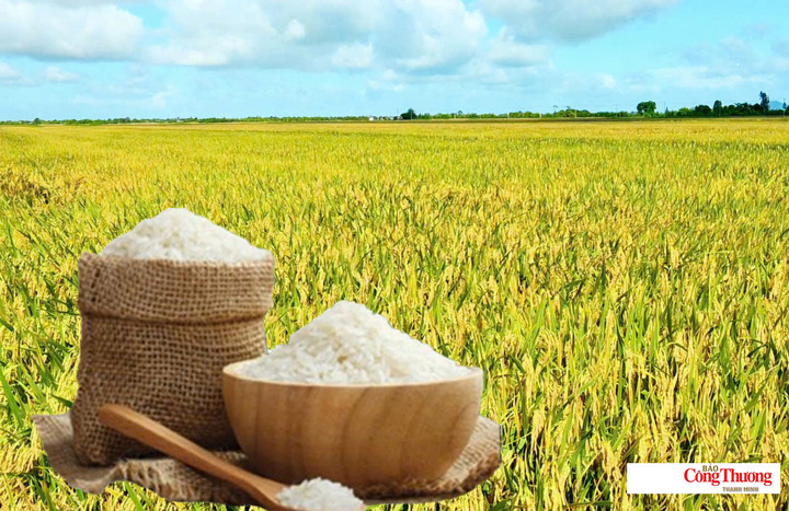 Giá lúa gạo hôm nay ngày 12/8: Gạo nguyên liệu xuất khẩu tiếp đà tăng.