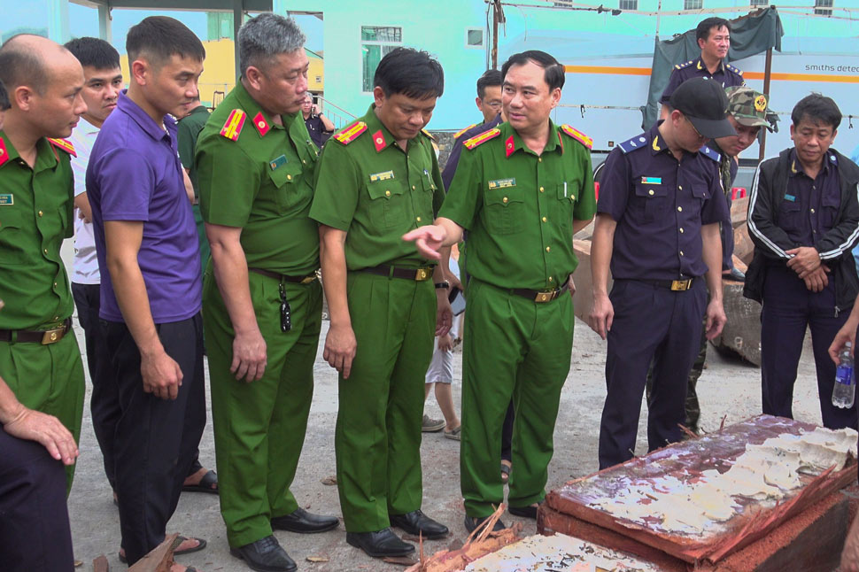 Lực lượng chức năng thu giữ 221 khúc ngà voi, tổng trọng lượng 1.193kg. Ảnh: Công an cung cấp