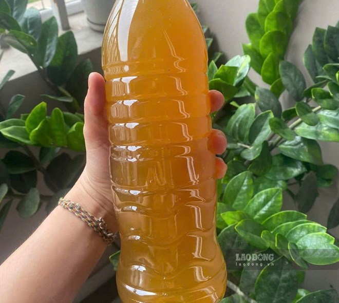 Lưu ý khi dùng mật ong với người tăng axit uric