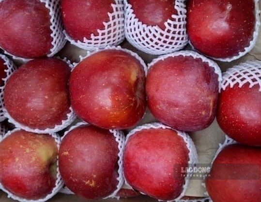 Loại quả hỗ trợ giảm cân lại tốt cho đường ruột