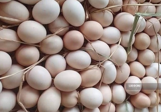 Giải độc gan và trứng: Những điều cần biết