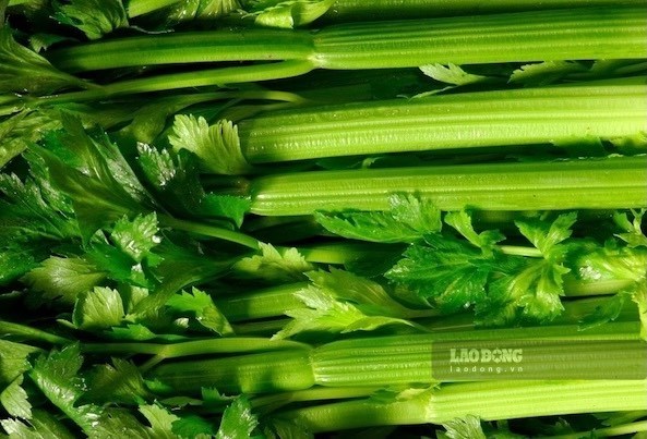 Người bệnh gout nên ăn rau cần tây đúng cách để hỗ trợ kiểm soát axit uric