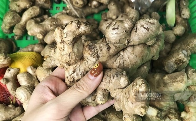 Cách làm trà gừng uống sau bữa tối tốt cho thận