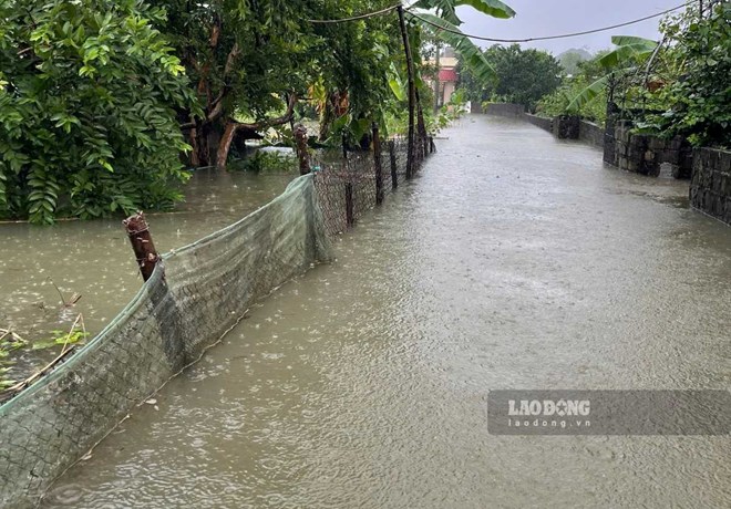 Mưa lớn kéo dài, nhiều khu dân cư ven sông Đáy ở Ninh Bình bị cô lập