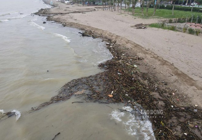 Bãi biển Sầm Sơn tràn ngập củi, gỗ sau mưa lũ