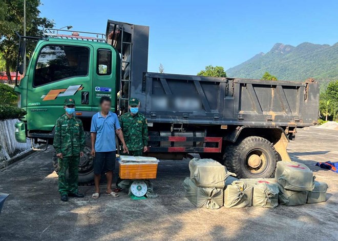 Phát hiện xe tải chở 400kg nầm lợn đông lạnh chưa rõ nguồn gốc