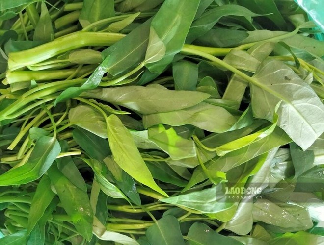 Cách ăn rau muống phù hợp với người bệnh gout có axit uric cao