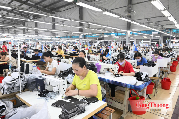 Dệt may là một trong những mặt hàng có lợi thế lớn khi xuất khẩu sang EU.
