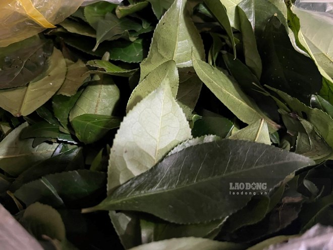 Thức uống hỗ trợ kiểm soát đường huyết và mỡ máu