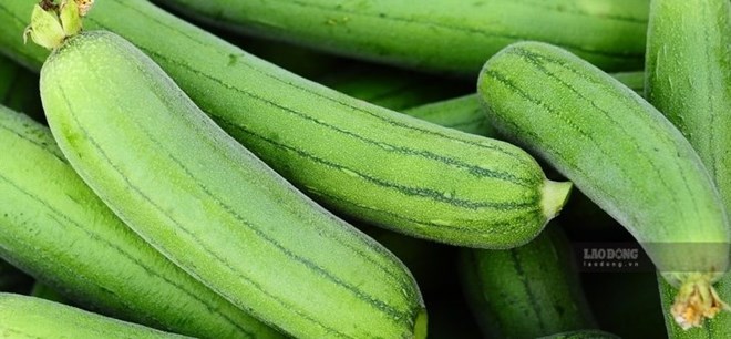 Mách bà nội trợ chế độ ăn giảm cân cho người trên 50 tuổi