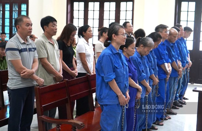 Tuyên án 17 bị cáo vụ vi phạm quy định về an toàn thực phẩm tại Đồ hộp Hạ Long