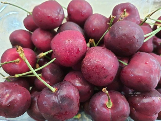 Loại quả quen thuộc giúp hạ axit uric và giảm đau nhức khớp