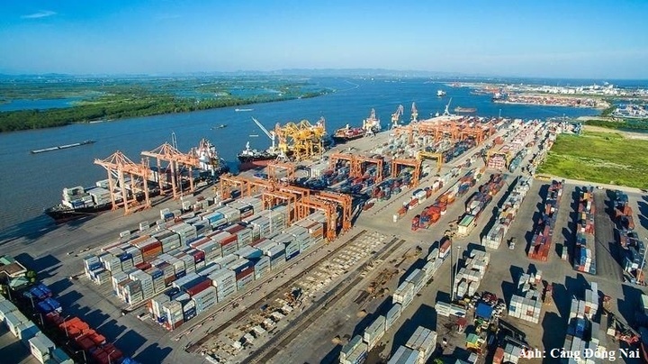 Dòng vốn FDI của Đồng Nai tiếp tục tập trung vào công nghiệp chế biến, chế tạo, công nghiệp hỗ trợ và logistics.