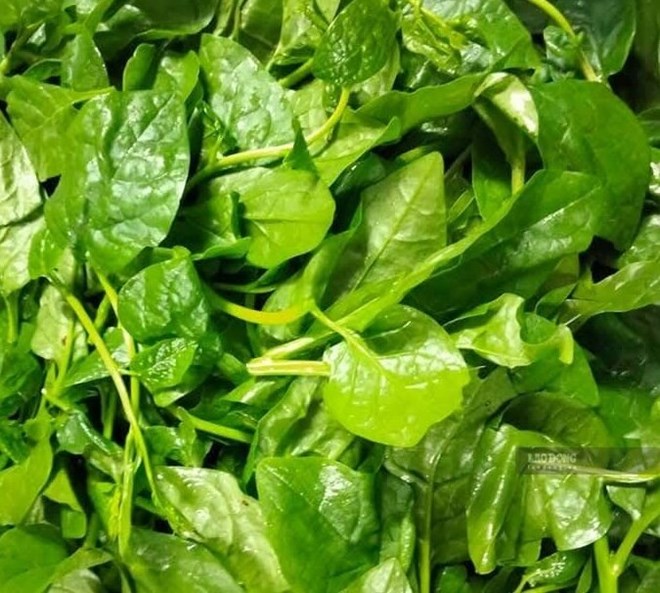 Mỡ máu cao và tốt cho đường huyết khi bổ sung những loại rau này vào chế độ ăn