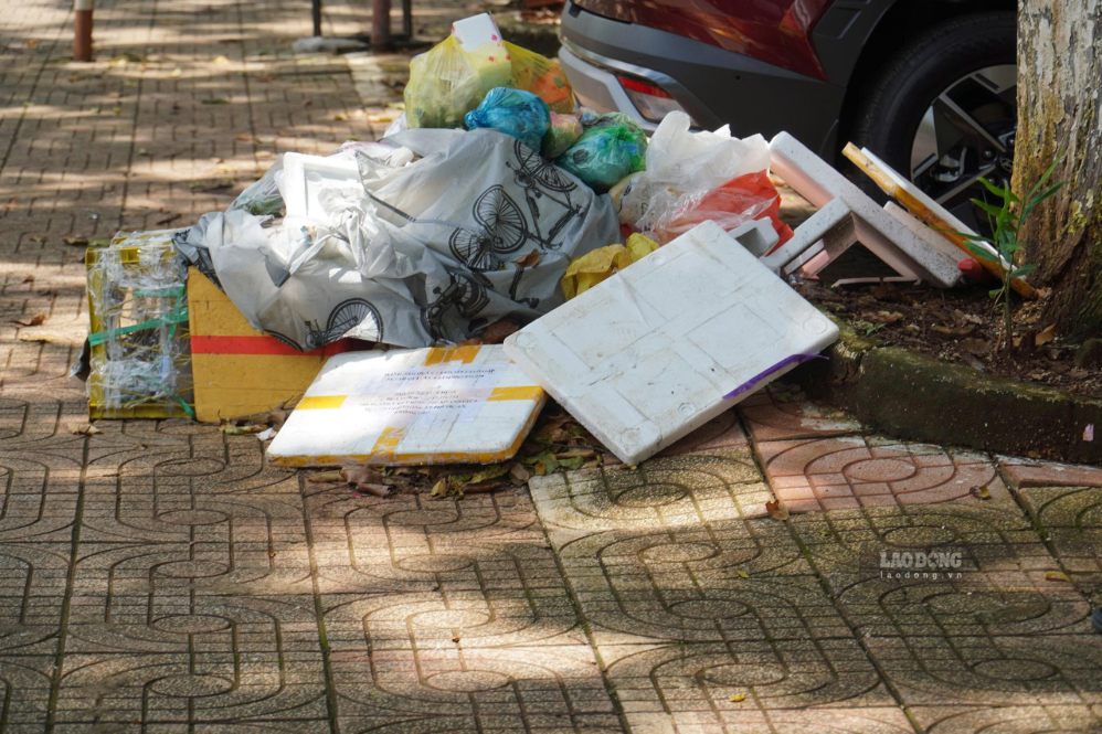 Rác thải sinh hoạt chưa được phân loại, xử lý triệt để tại nhiều khu vực trên địa bàn tỉnh. Ảnh: Danh Diễn