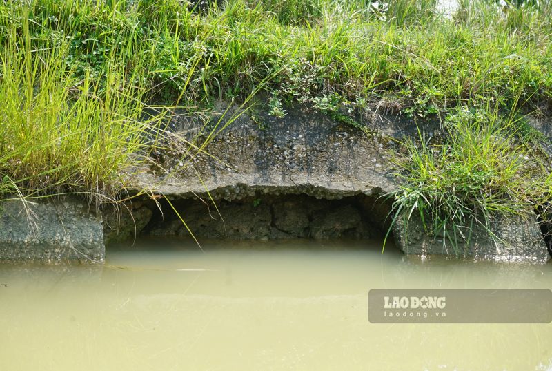 Tình trạng sạt lở, sụt lún trong thời gian dài khiến nhiều vị trí tại tuyến kênh thủy lợi bị hư hỏng nghiêm trọng. Ảnh: Quách Du (chụp ngày 11.10.2026)
