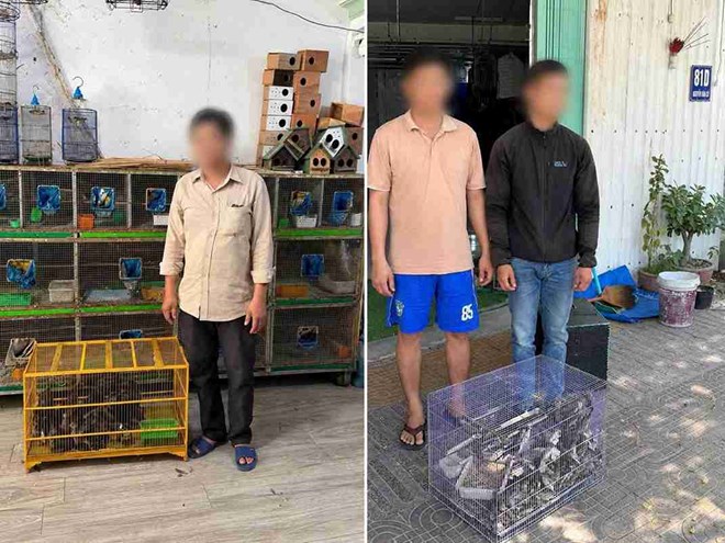 Công an phát hiện 290 cá thể chim không rõ nguồn gốc ở Khánh Hòa