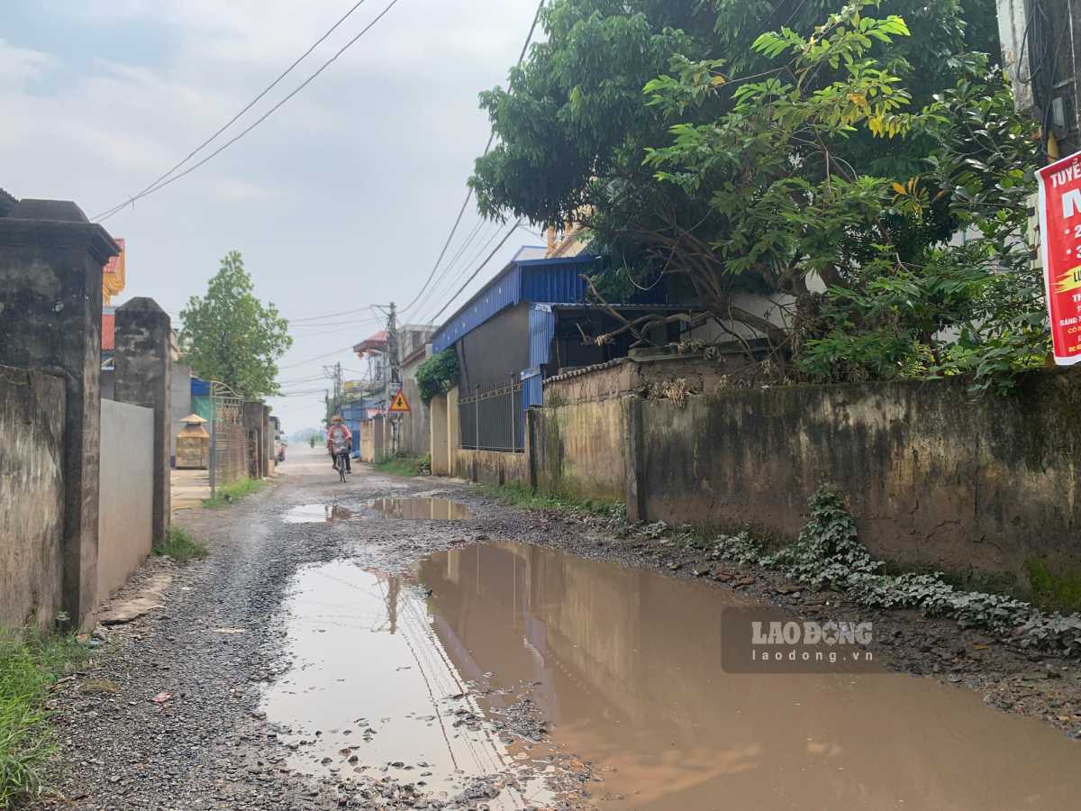 Những vũng nước lớn t