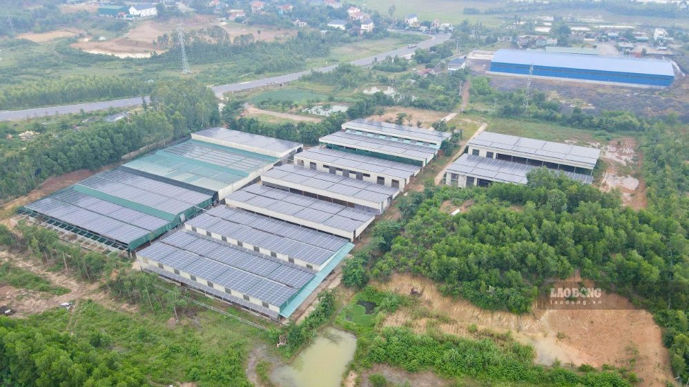 Trang trại được đầu tư quy mô lớn với khoảng 15.000 con gà. Ảnh: Thanh Trung ghi nhận vào ngày 12.10