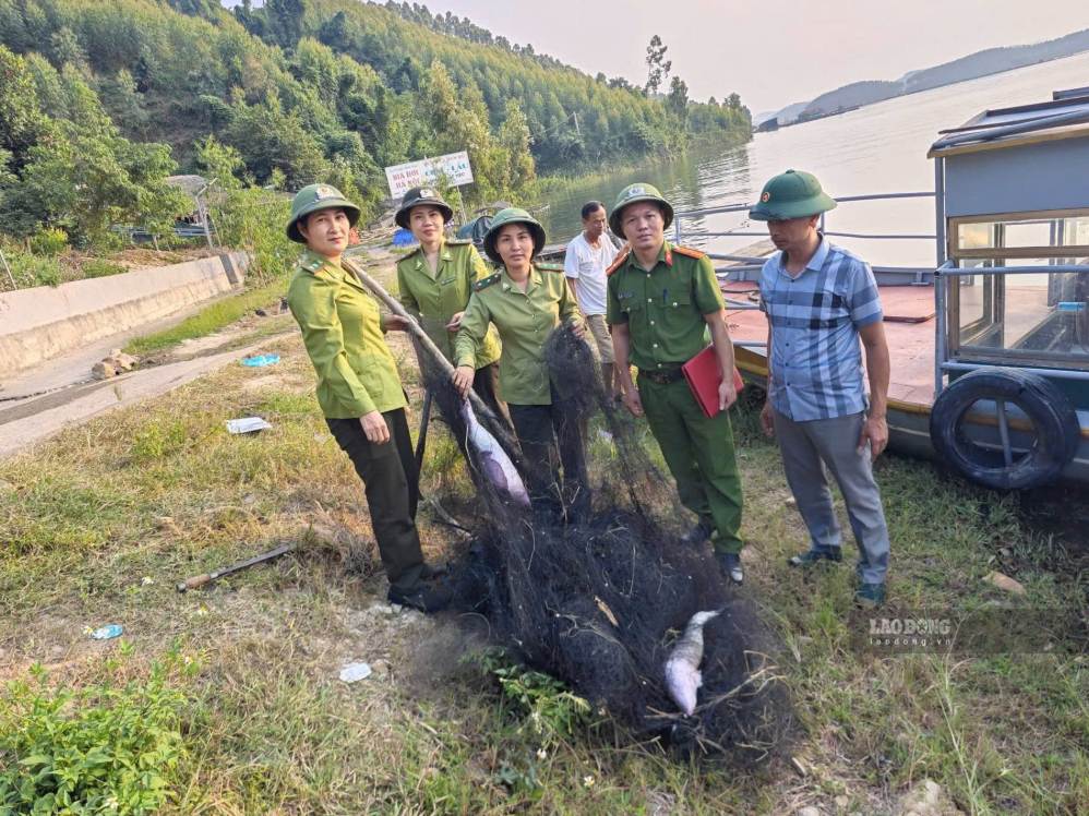 Các lực lượng tháo dỡ lưới đánh chim trái phép trên hồ Thác Bà. Ảnh: Quỳnh Trang