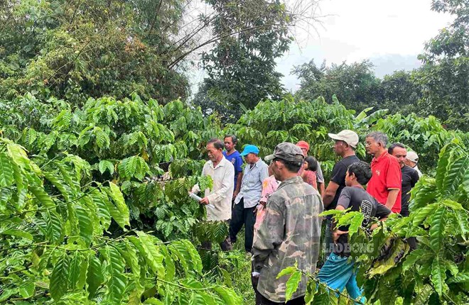 Hơn 1.277 tỉ đồng vốn mục tiêu quốc gia, Lâm Đồng mới giải ngân 11,4%