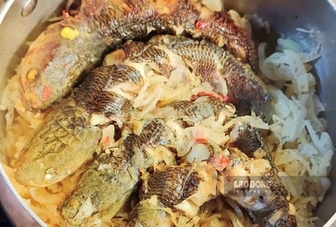 Món ăn buổi trưa giàu protein tốt cho người sau tuổi 60